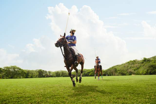 Image of Polo riding