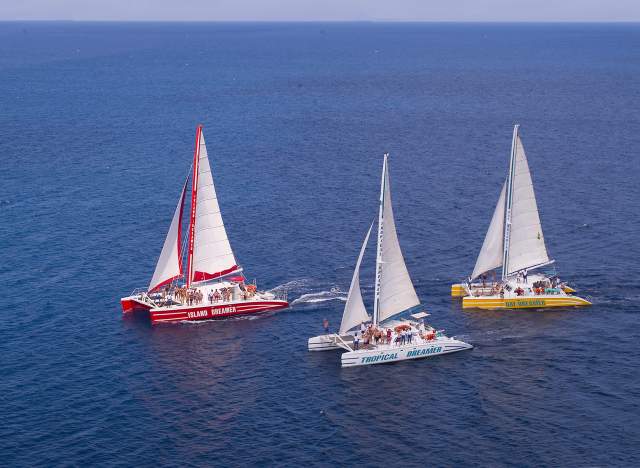 Dreamer Catamaran Cruises