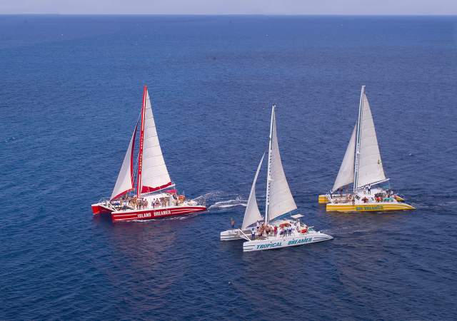 Dreamer Catamaran Cruises