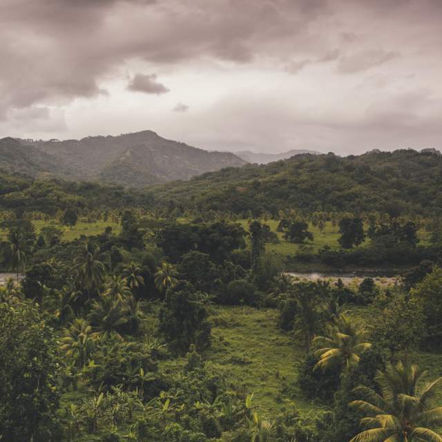 5 Best Places To Enjoy Blue Mountain Coffee (And A Blue Mountain View)