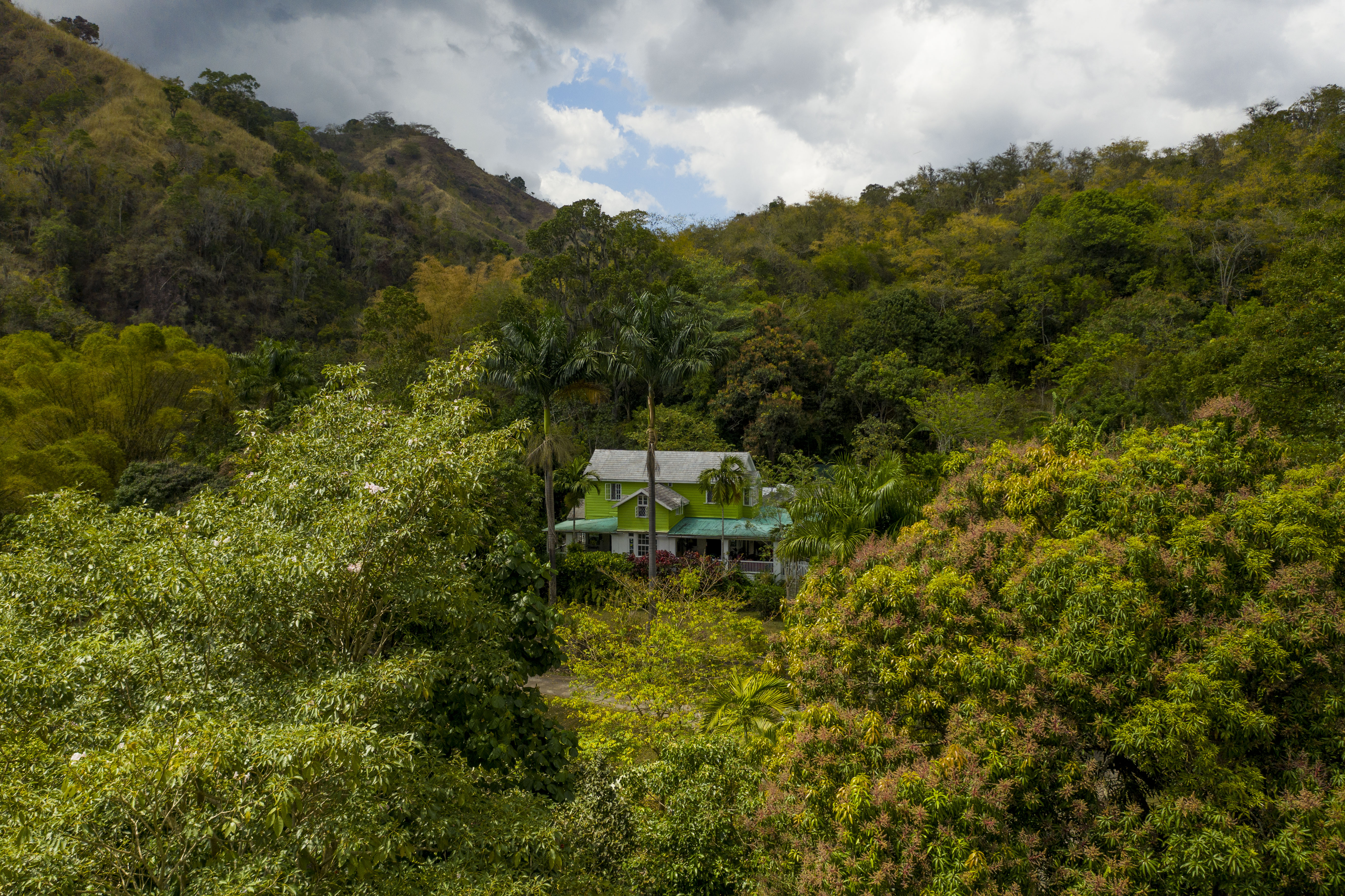 blue mountain house