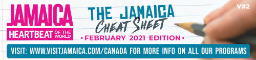 Cheatsheet Feb 2021 Header