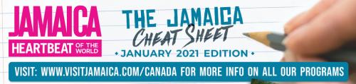 Cheatsheet Jan 2021 Header