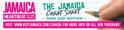 Cheat Sheet Header - June 2021