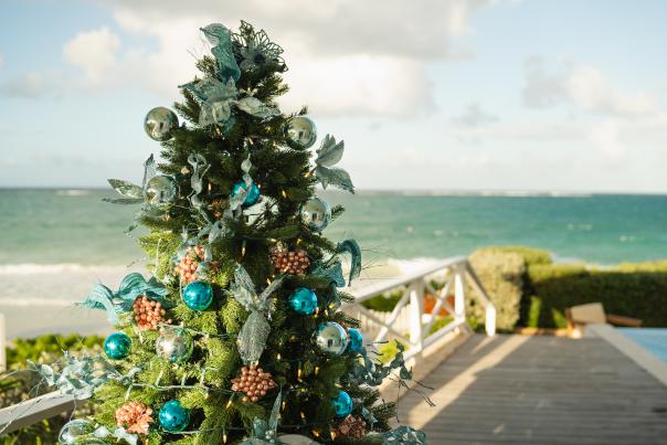 Christmas Tree at Silver Sands