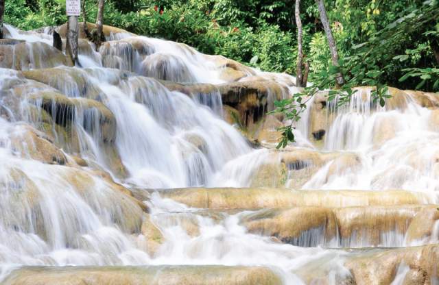 Dunn's River Display