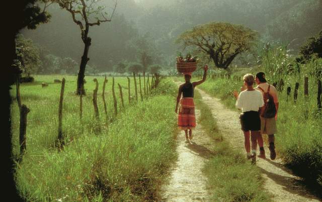 Hikers on the Road