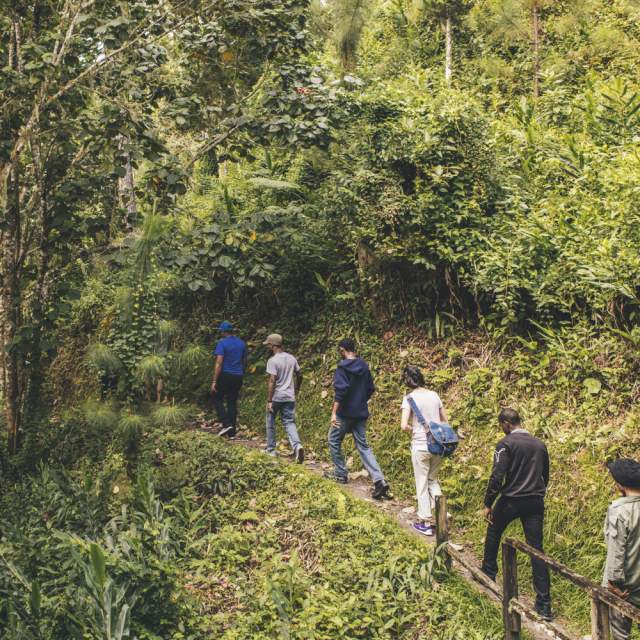 Five Great Nature Hikes with Community Guides