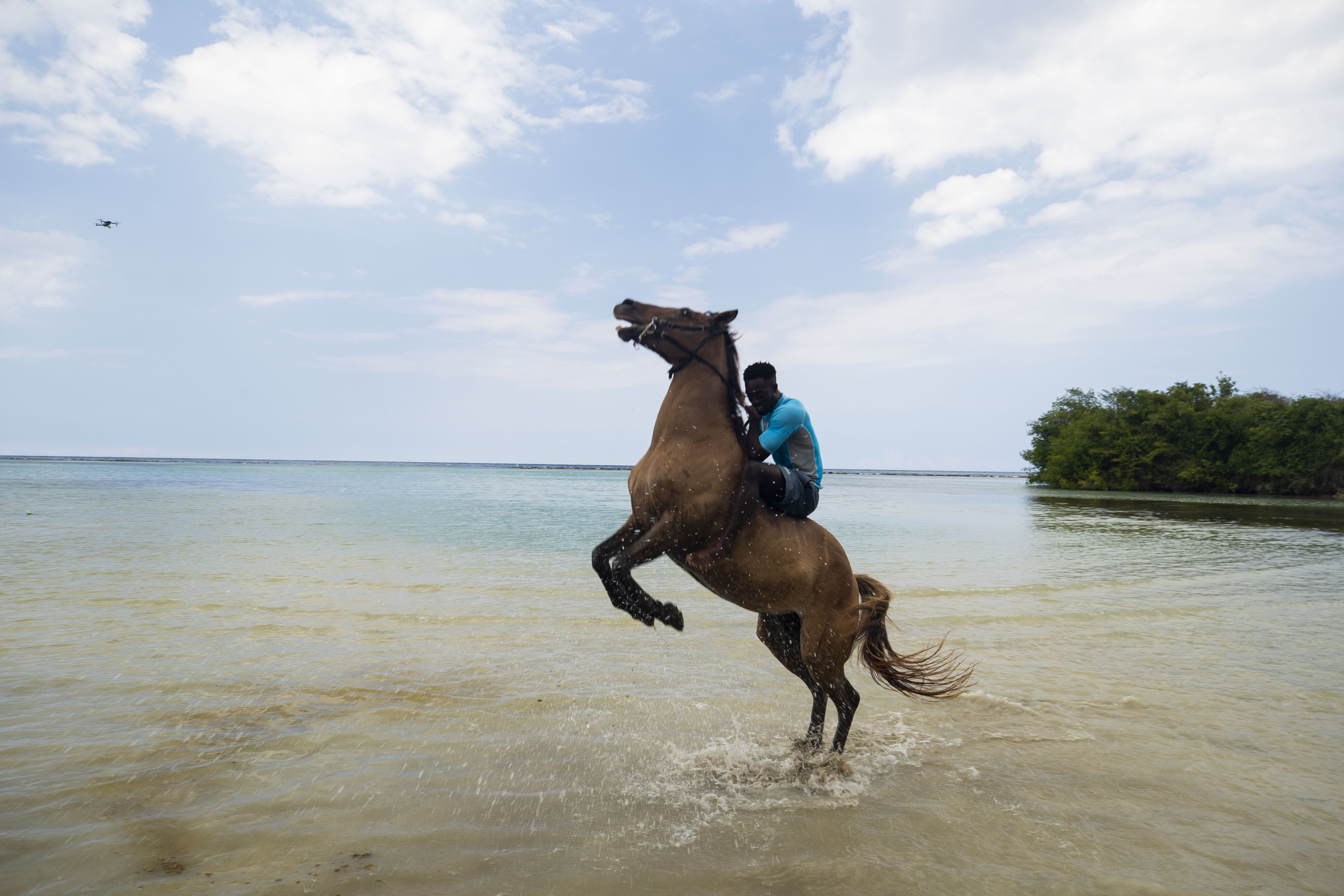 Horseback Riding