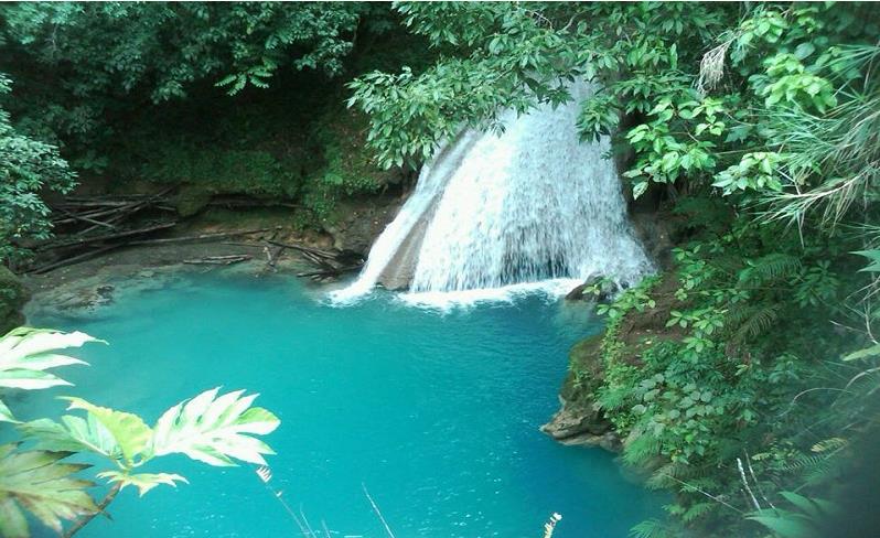 Island Gully Falls