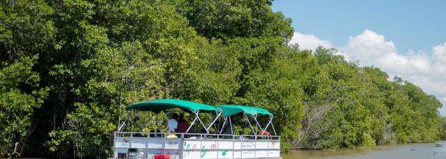 Black River Safari boat