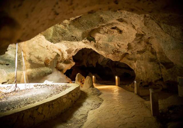 Experiences in Jamaica: Exploring the Green Grotto