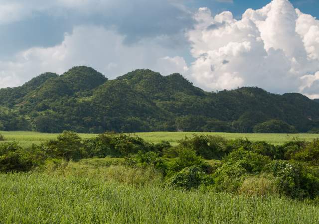 Landscape_South Coast