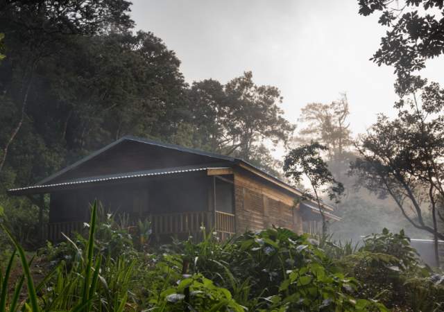 Camping in the Blue Mountains: A UNESCO World Heritage Site