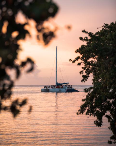 sunset catamaran