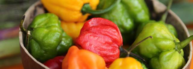 Scotch Bonnet Petters C_JustinFrancis