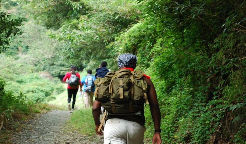 Hikers in the Blue Mountain